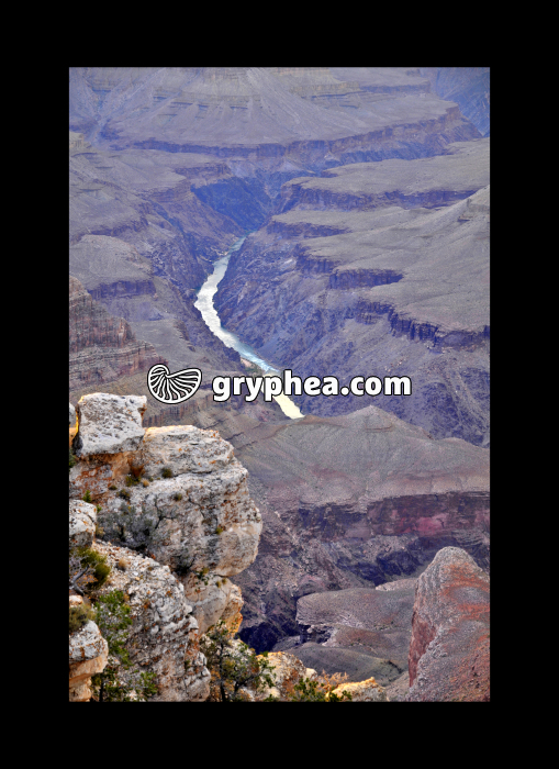 Grand Canyon Mohave Point (Arizona, USA) - gryphea.org
